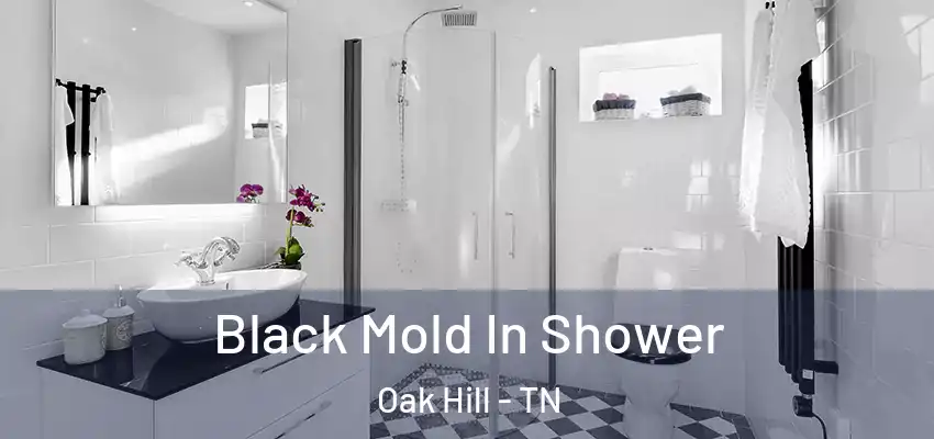  Black Mold In Shower Oak Hill - TN