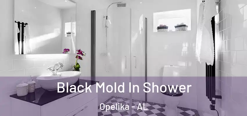 Black Mold In Shower Opelika - AL
