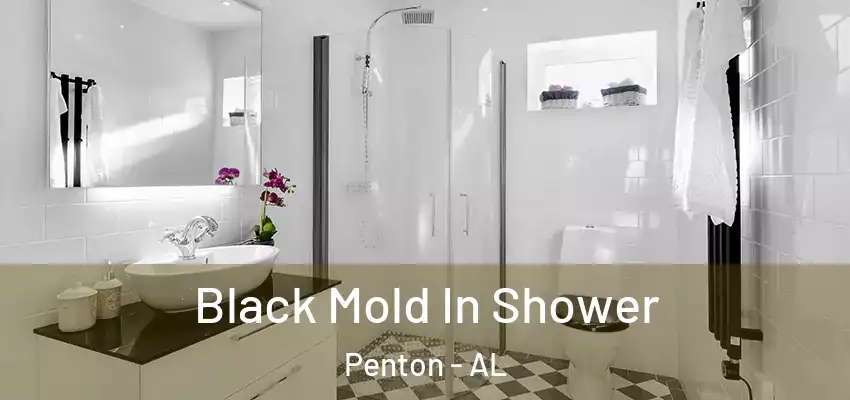 Black Mold In Shower Penton - AL