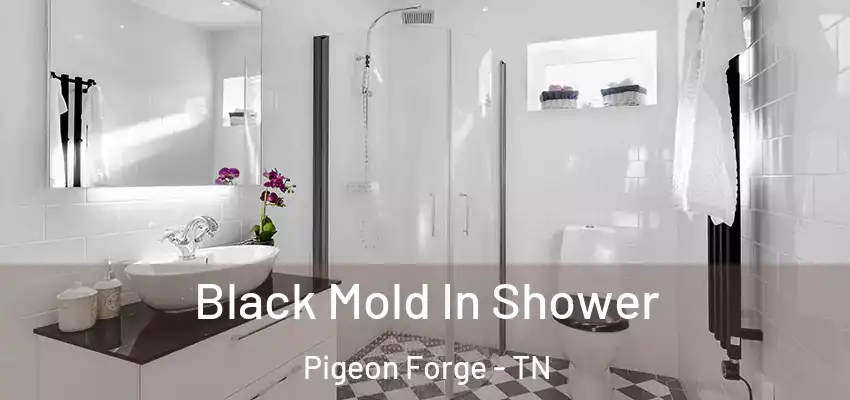  Black Mold In Shower Pigeon Forge - TN