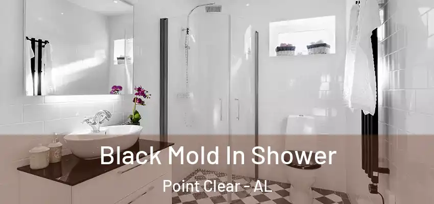  Black Mold In Shower Point Clear - AL