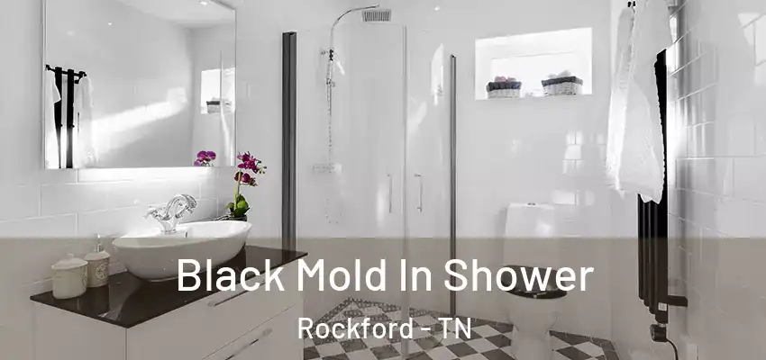  Black Mold In Shower Rockford - TN