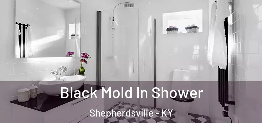  Black Mold In Shower Shepherdsville - KY