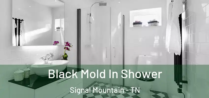  Black Mold In Shower Signal Mountain - TN