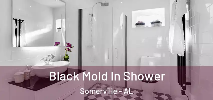  Black Mold In Shower Somerville - AL