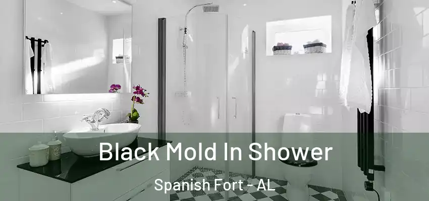  Black Mold In Shower Spanish Fort - AL