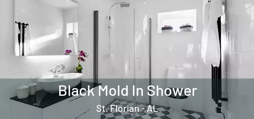  Black Mold In Shower St. Florian - AL