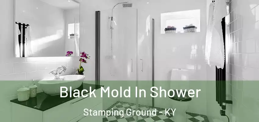  Black Mold In Shower Stamping Ground - KY