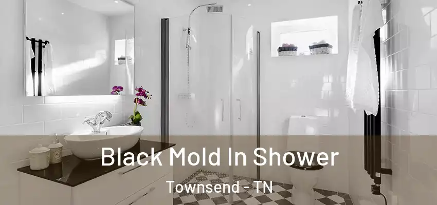  Black Mold In Shower Townsend - TN