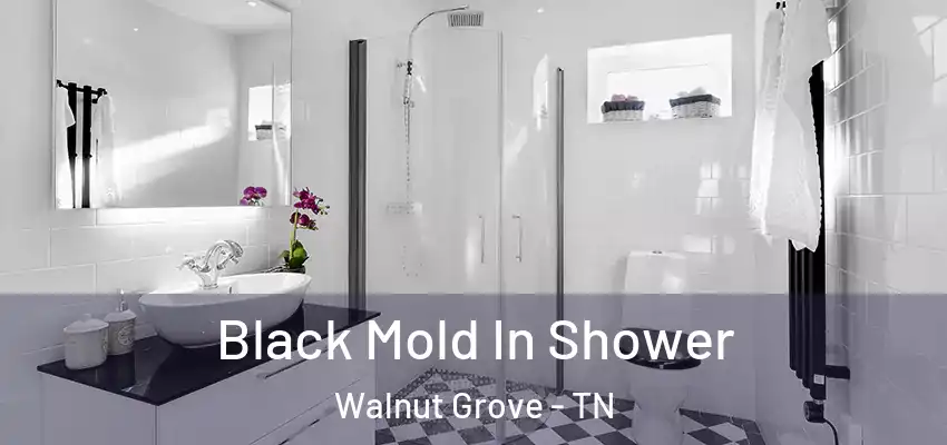 Black Mold In Shower Walnut Grove - TN