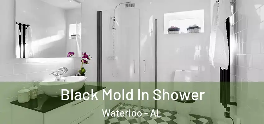 Black Mold In Shower Waterloo - AL