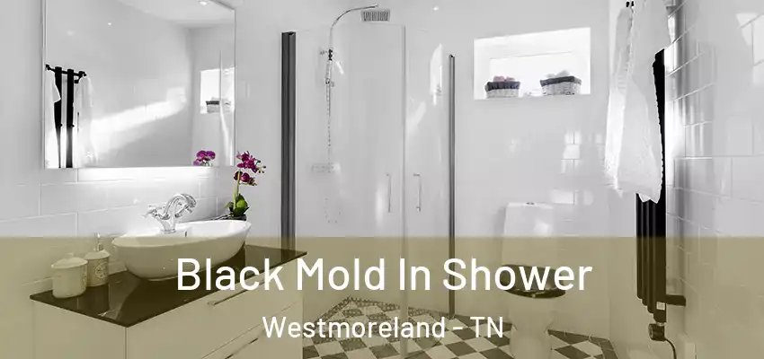 Black Mold In Shower Westmoreland - TN