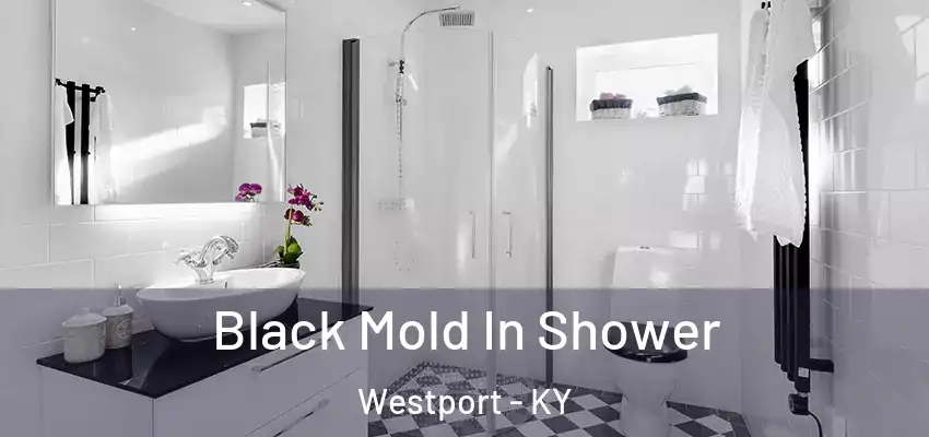  Black Mold In Shower Westport - KY