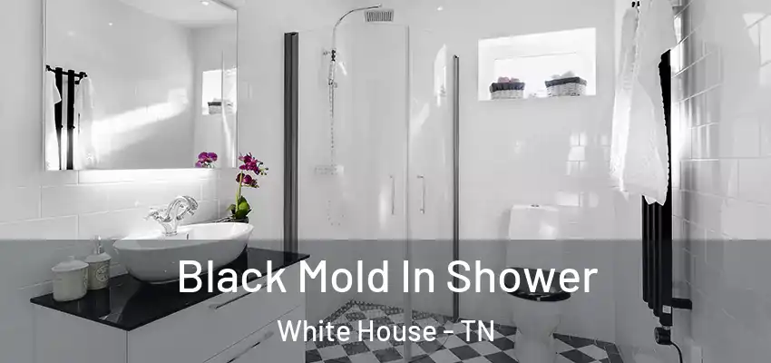 Black Mold In Shower White House - TN