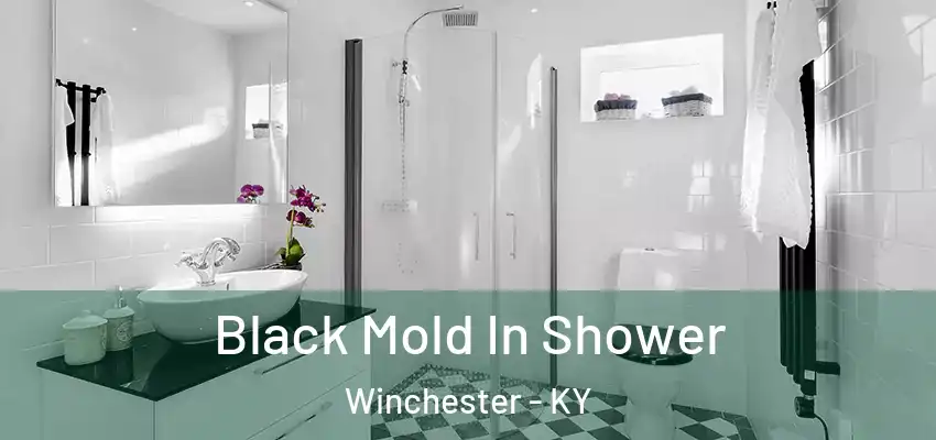  Black Mold In Shower Winchester - KY