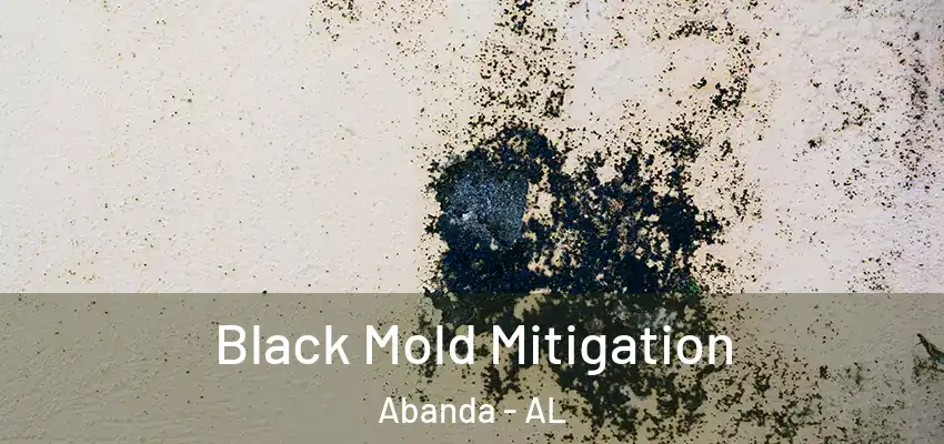 Black Mold Mitigation Abanda - AL