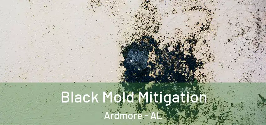 Black Mold Mitigation Ardmore - AL