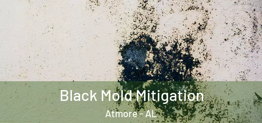 Black Mold Mitigation Atmore - AL