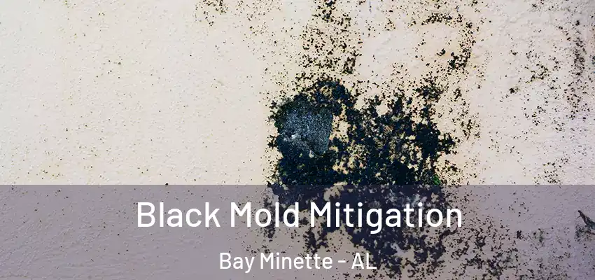 Black Mold Mitigation Bay Minette - AL