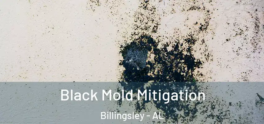  Black Mold Mitigation Billingsley - AL