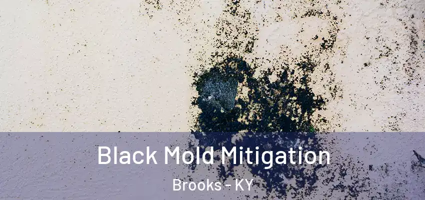 Black Mold Mitigation Brooks - KY