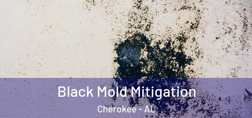 Black Mold Mitigation Cherokee - AL