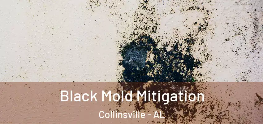 Black Mold Mitigation Collinsville - AL