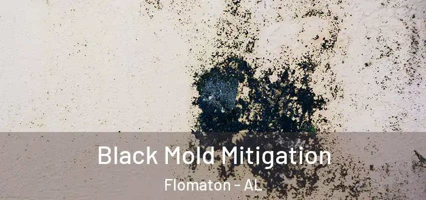 Black Mold Mitigation Flomaton - AL