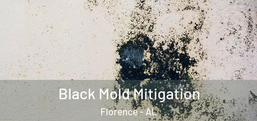  Black Mold Mitigation Florence - AL