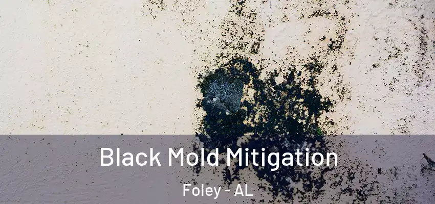 Black Mold Mitigation Foley - AL