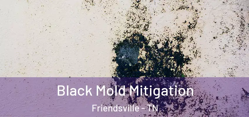 Black Mold Mitigation Friendsville - TN
