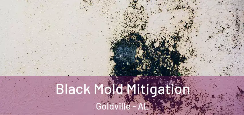  Black Mold Mitigation Goldville - AL