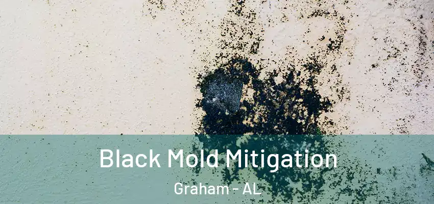 Black Mold Mitigation Graham - AL