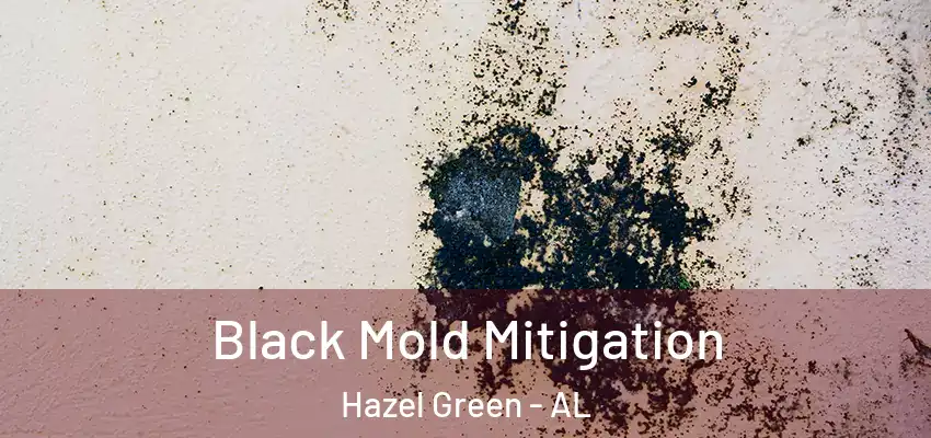  Black Mold Mitigation Hazel Green - AL