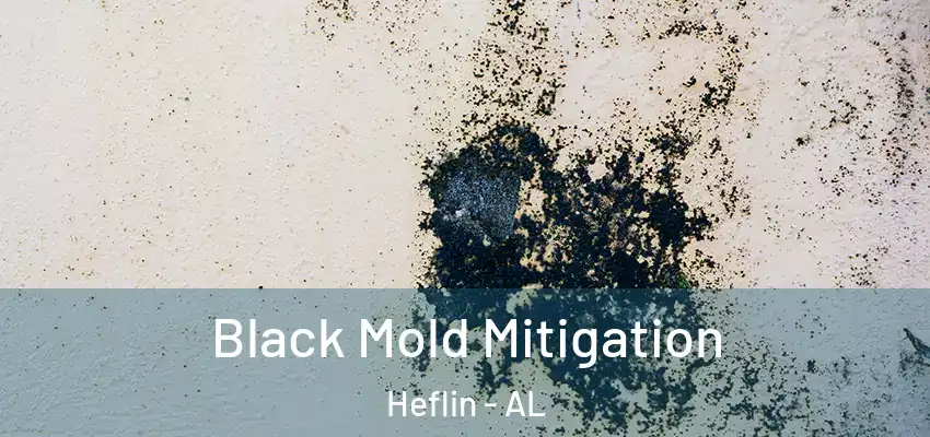 Black Mold Mitigation Heflin - AL