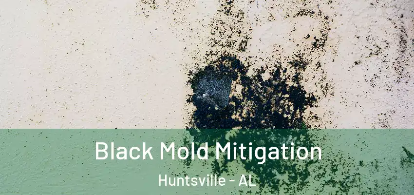  Black Mold Mitigation Huntsville - AL