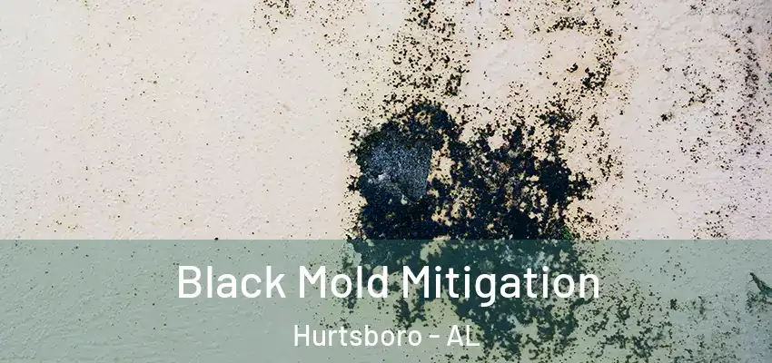 Black Mold Mitigation Hurtsboro - AL