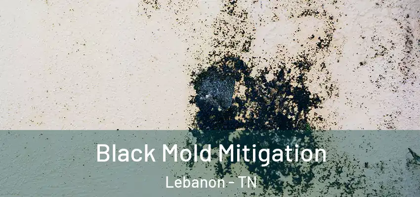Black Mold Mitigation Lebanon - TN