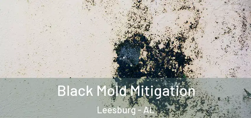 Black Mold Mitigation Leesburg - AL