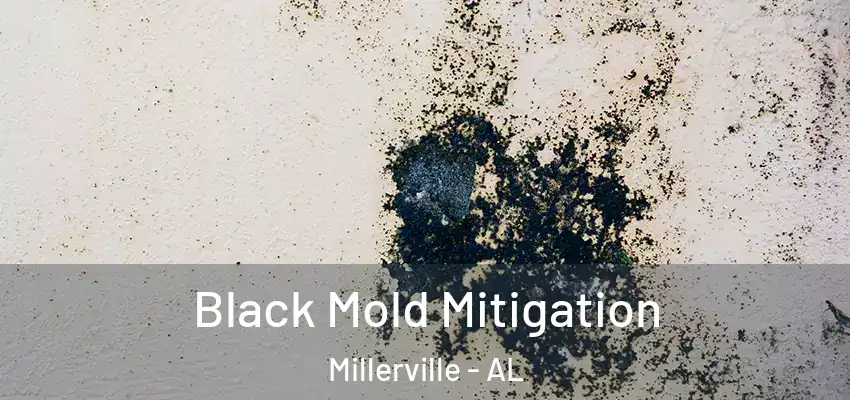  Black Mold Mitigation Millerville - AL