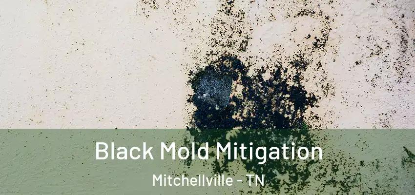 Black Mold Mitigation Mitchellville - TN