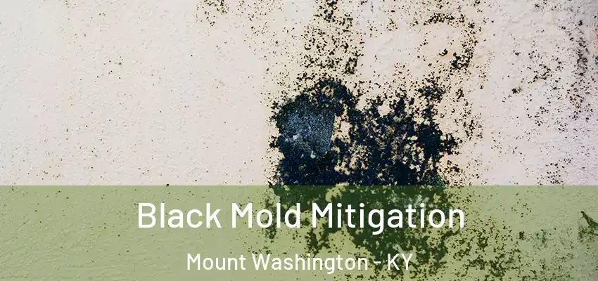  Black Mold Mitigation Mount Washington - KY