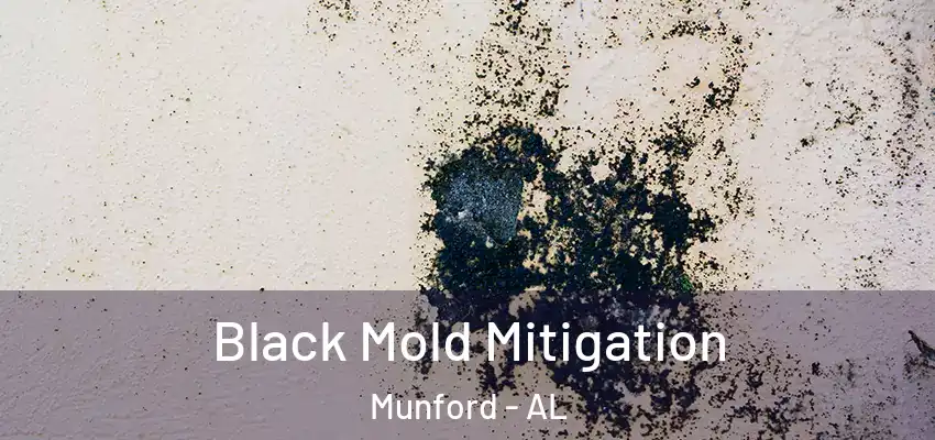 Black Mold Mitigation Munford - AL