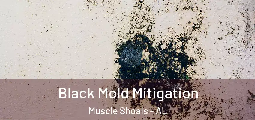 Black Mold Mitigation Muscle Shoals - AL