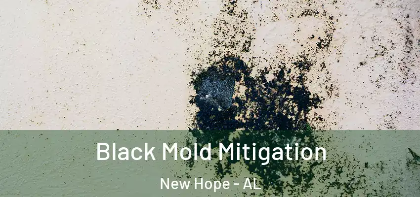  Black Mold Mitigation New Hope - AL