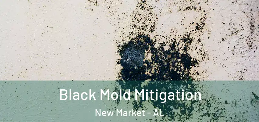 Black Mold Mitigation New Market - AL