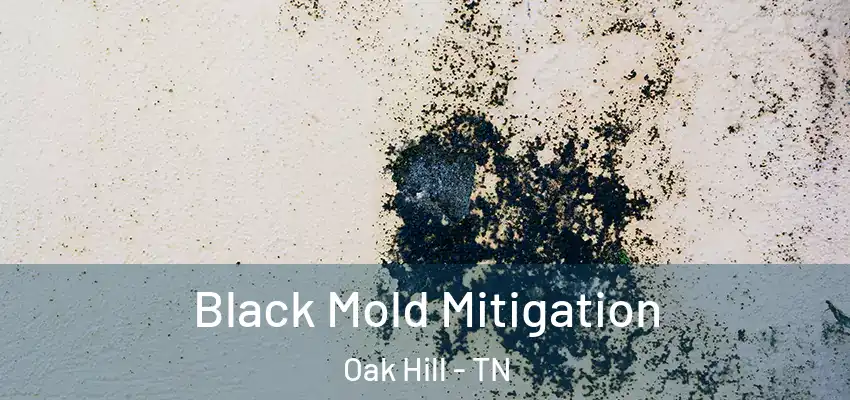 Black Mold Mitigation Oak Hill - TN