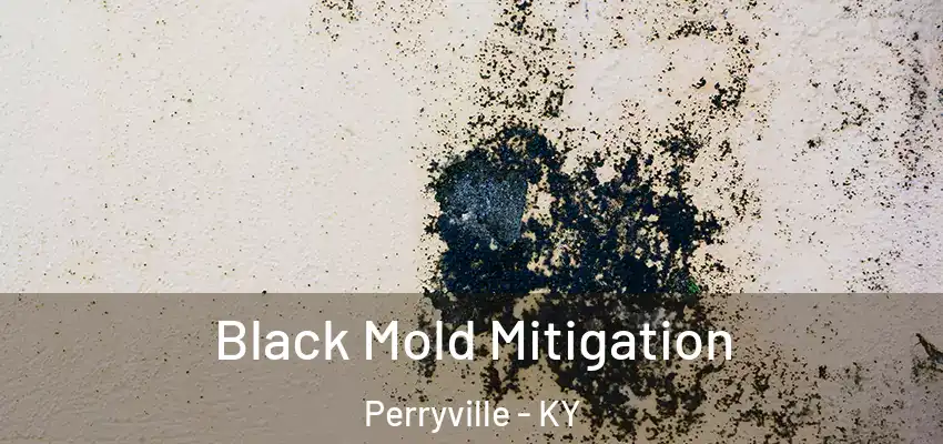  Black Mold Mitigation Perryville - KY