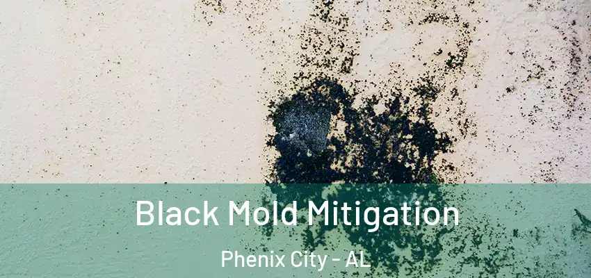  Black Mold Mitigation Phenix City - AL