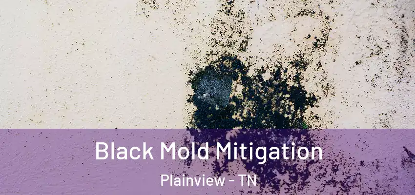  Black Mold Mitigation Plainview - TN